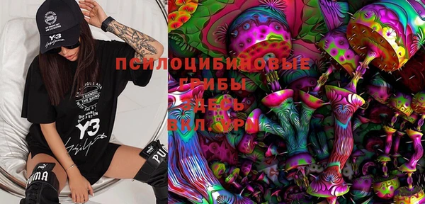 ешки Алексеевка