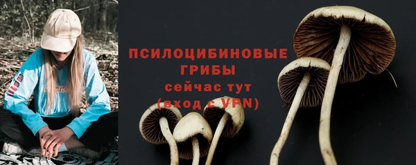 ешки Алексеевка