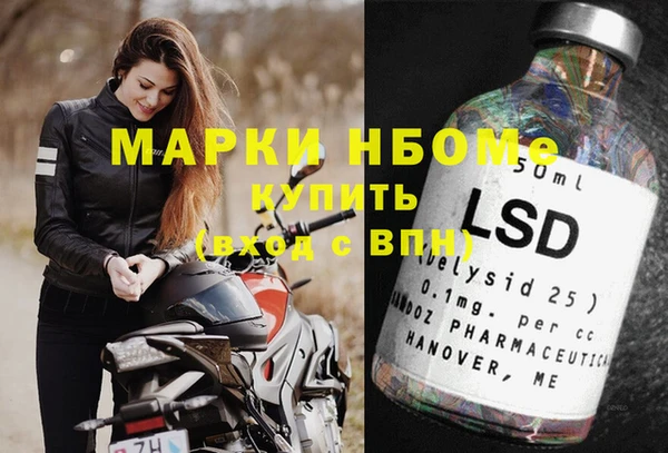 амф Новозыбков