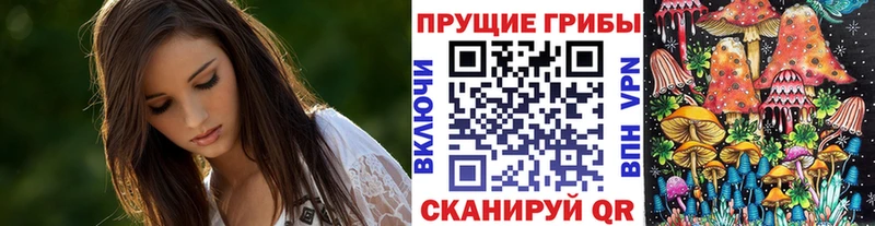 Галлюциногенные грибы прущие грибы  Хвалынск 
